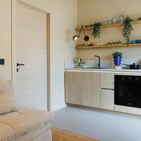 Cigale Bleue Avec Terrasse Et Piscine A * Antibes