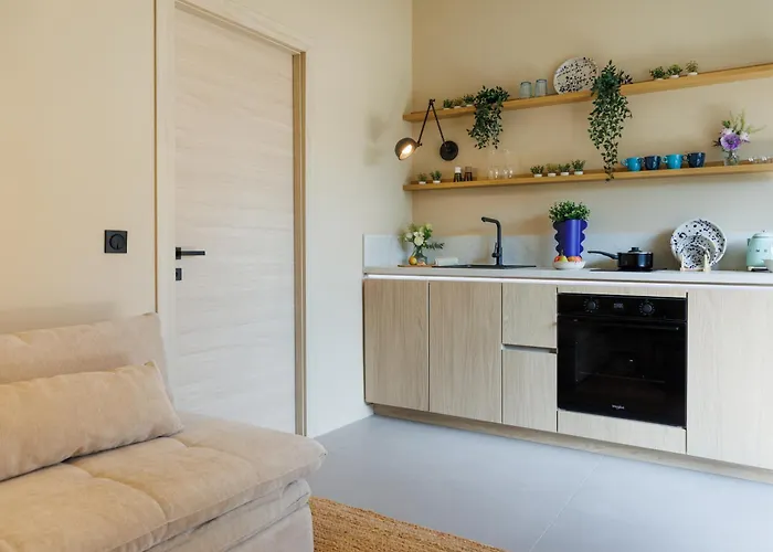 Cigale Bleue Avec Terrasse Et Piscine A * Antibes